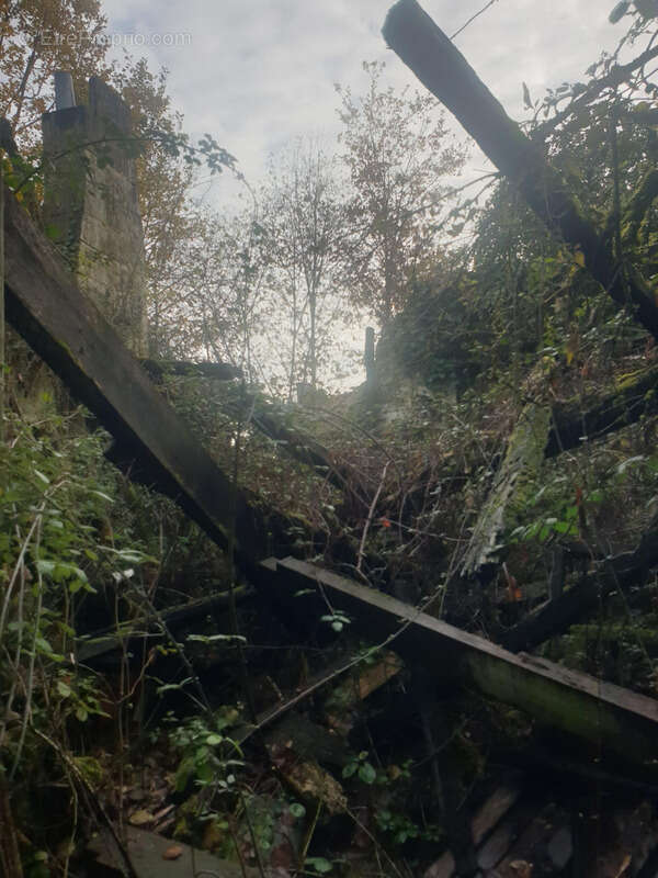 Maison à SAINT-BONNET