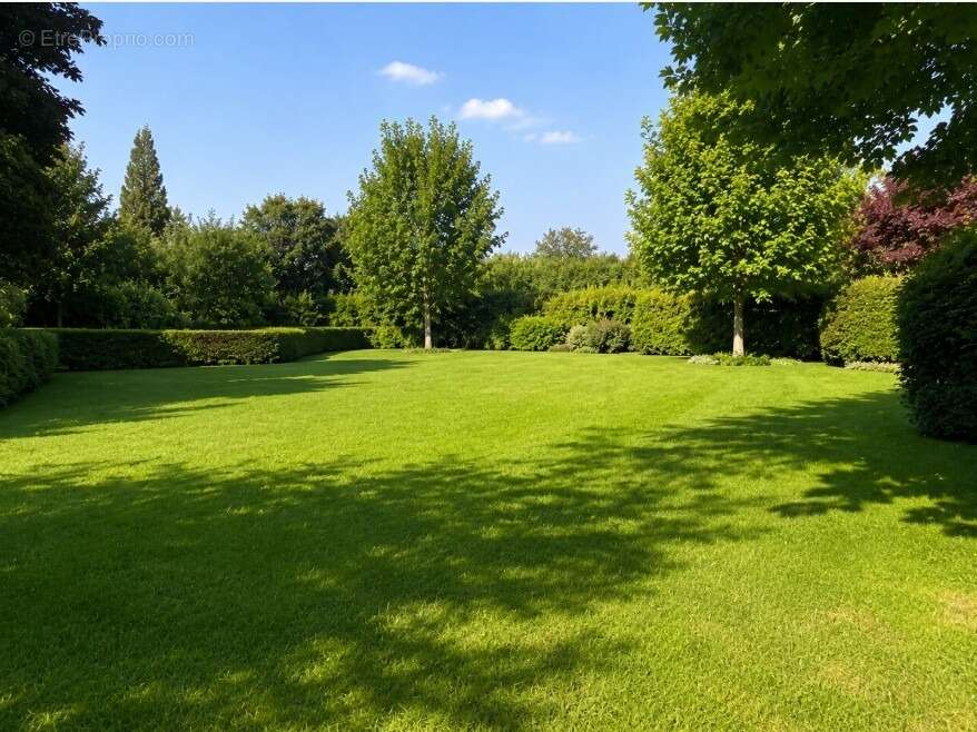 Terrain 240 m² à Tourves  - photo 3