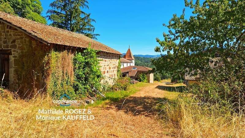 Domaine de caractère sur 45 hectares avec étang - Courpière - photo 20
