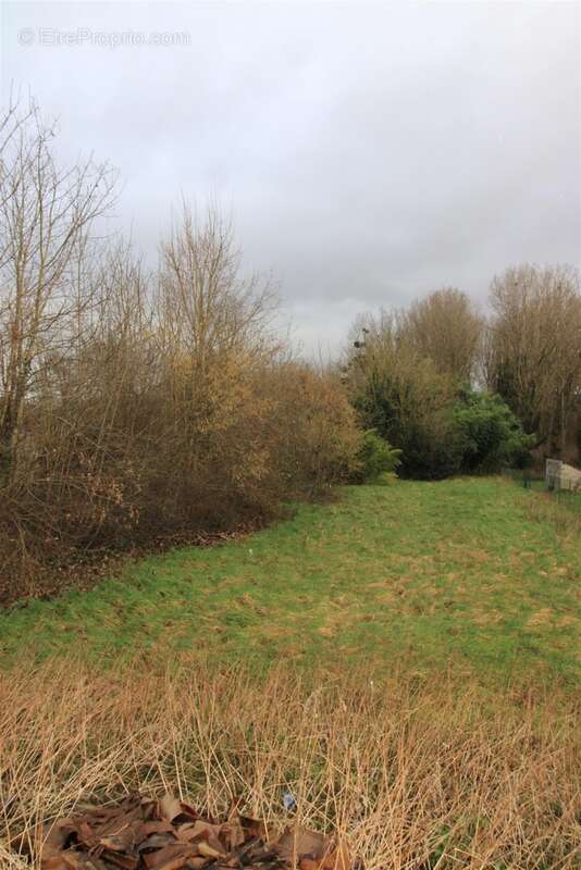 Terrain à VAYRES-SUR-ESSONNE