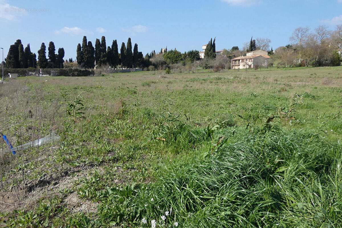 Terrain à CASTELNAUDARY