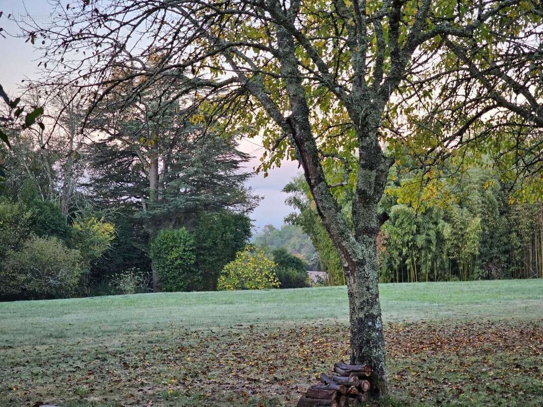 Terrain à MONTUSSAN