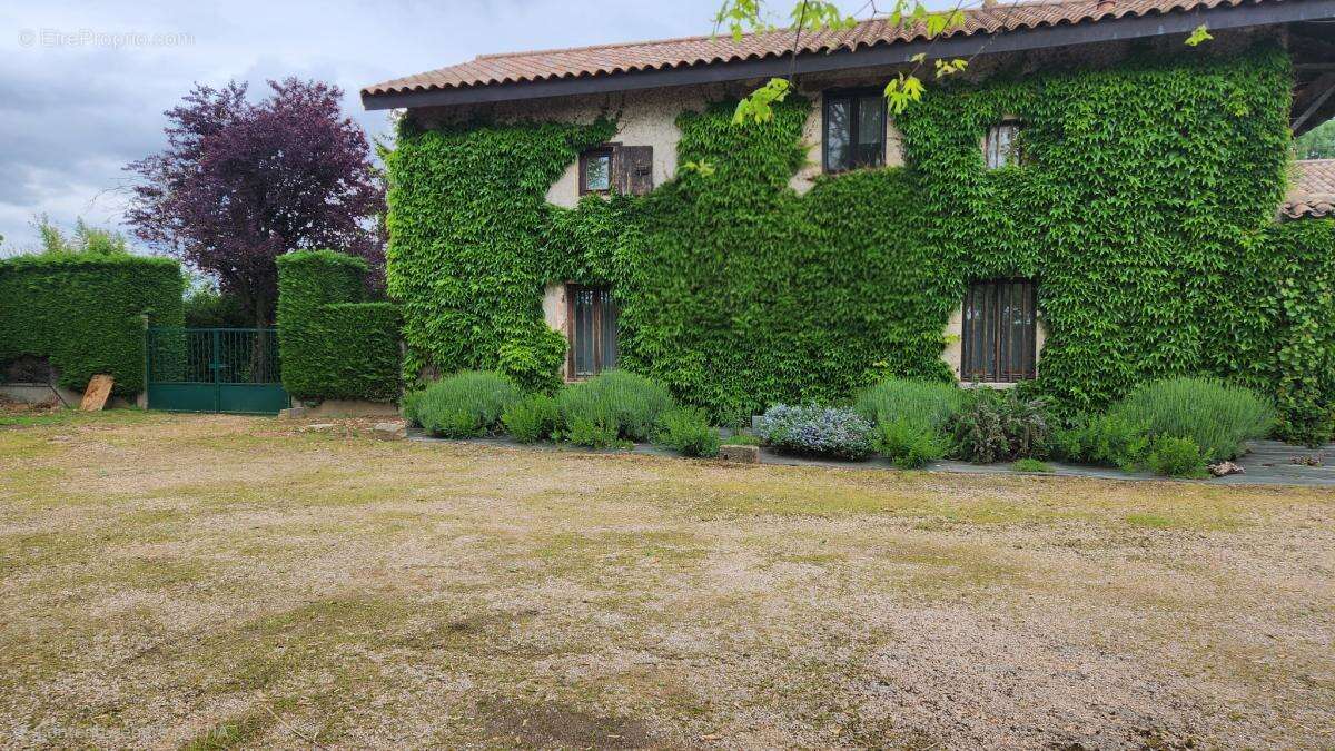 Maison à AMBERIEUX-EN-DOMBES