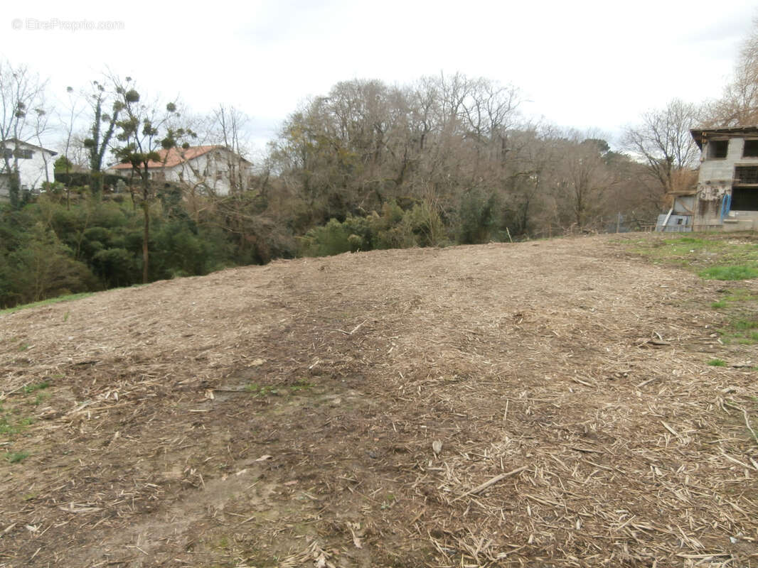 Terrain à SAINT-ANDRE-DE-SEIGNANX