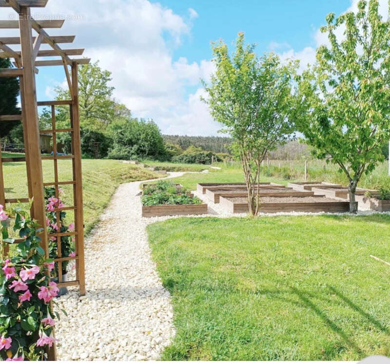Ancienne ferme avec maison principale, maison d'amis, une piscine, grand jardin de 8000m2 - photo 9