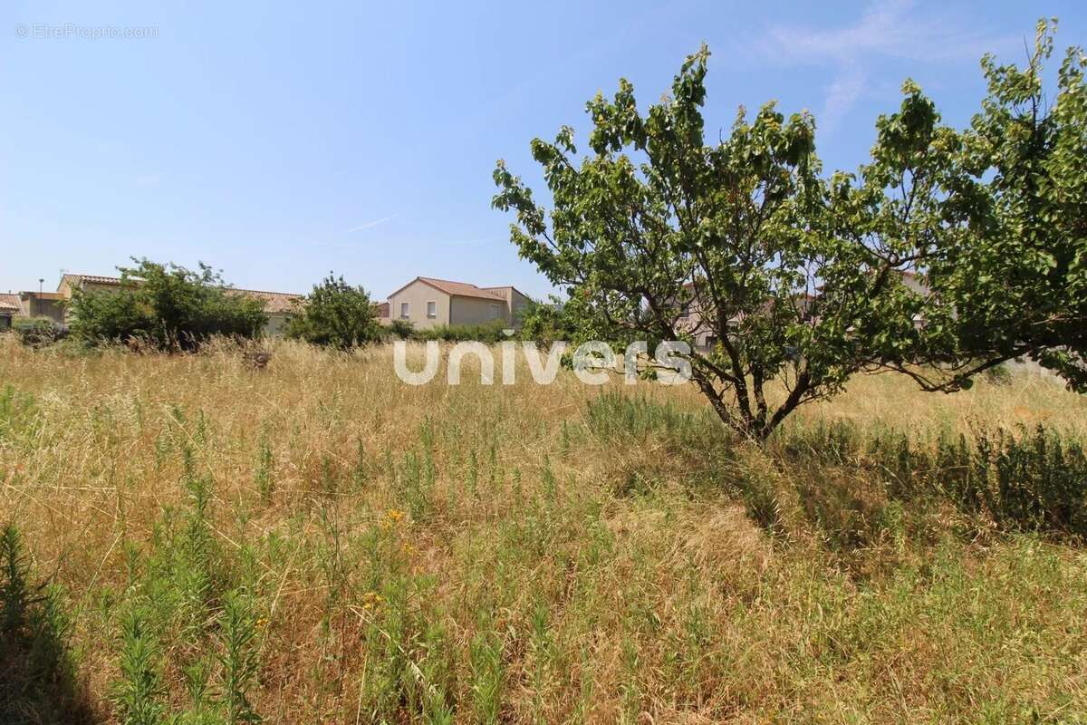 Terrain à BOURG-LES-VALENCE