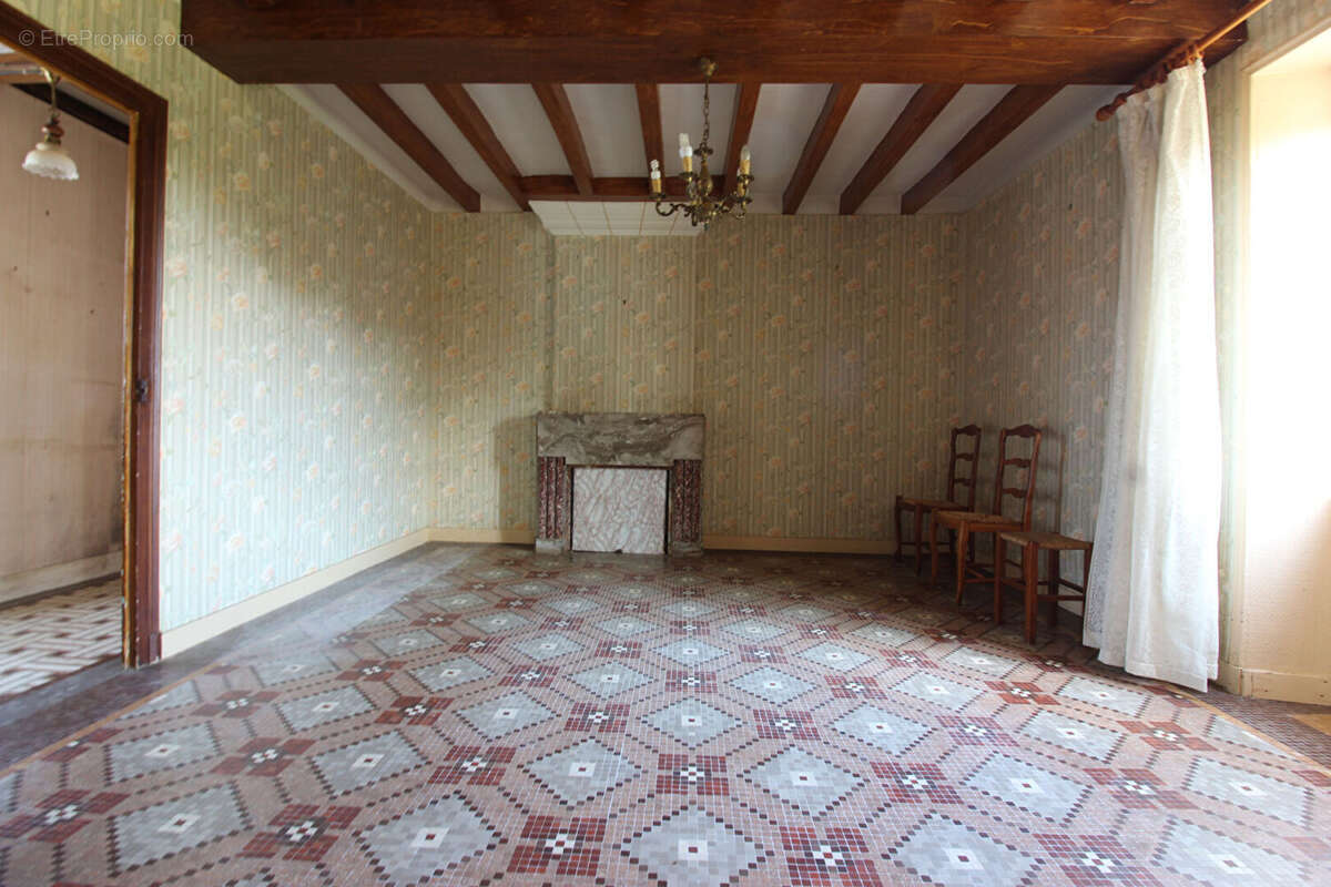 Maison ancienne à vendre à Mozé-sur-Louet avec jardin et dépendance - photo 2