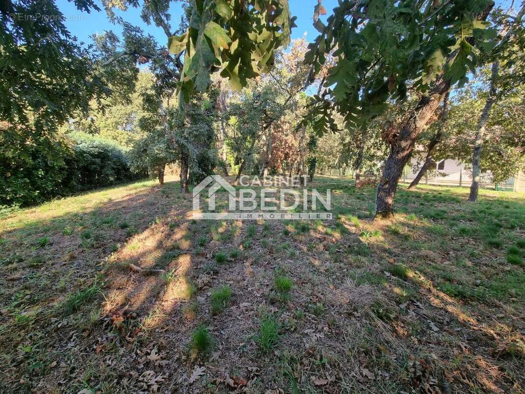Terrain à ANDERNOS-LES-BAINS