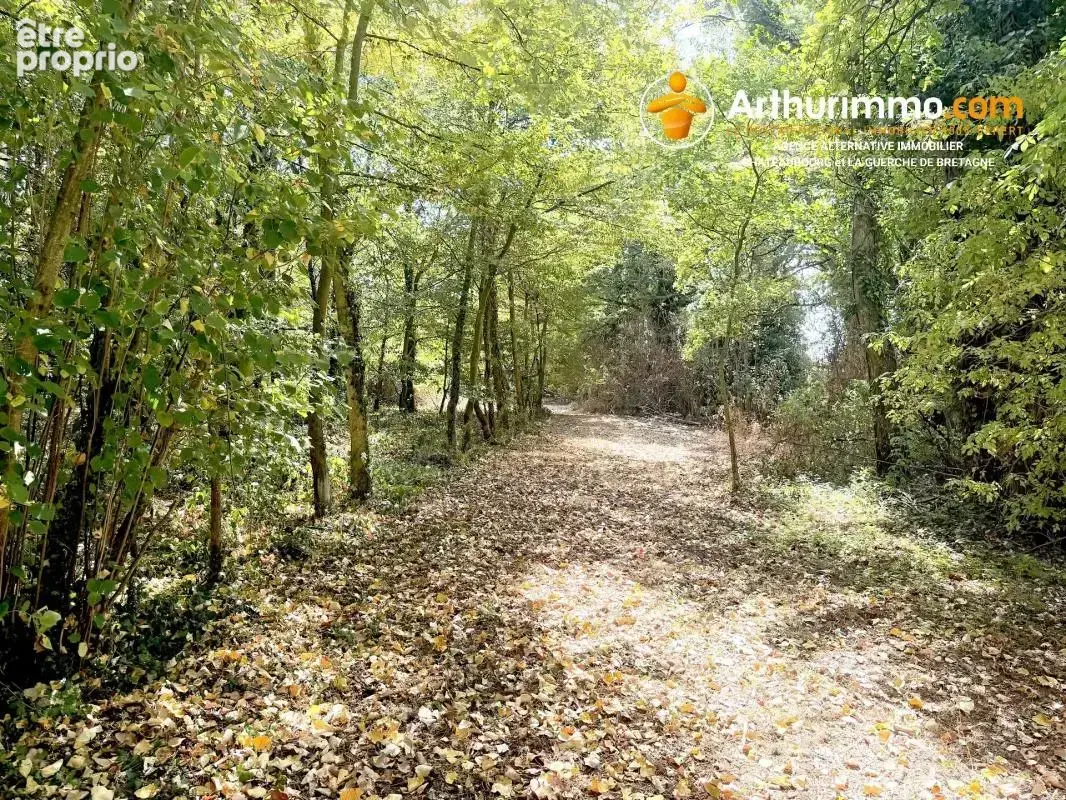 Longère en pierre sur plus d'un hectare - photo 11