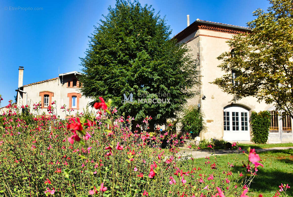 Maison à SURY-LE-COMTAL