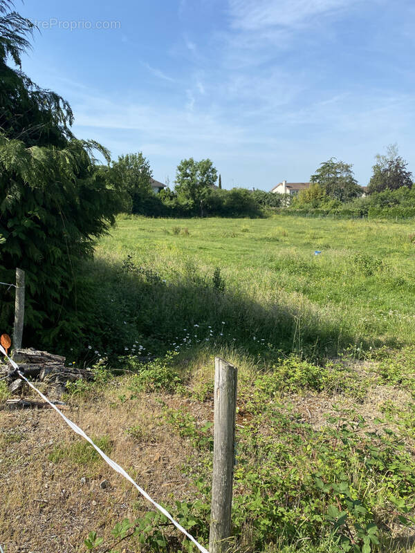 Terrain à SAINT-SULPICE-LES-FEUILLES