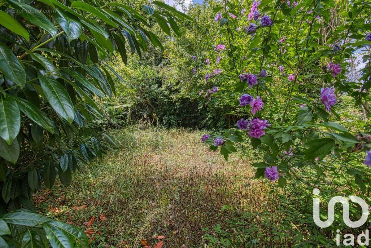 Photo 5 - Maison à ANDRESY