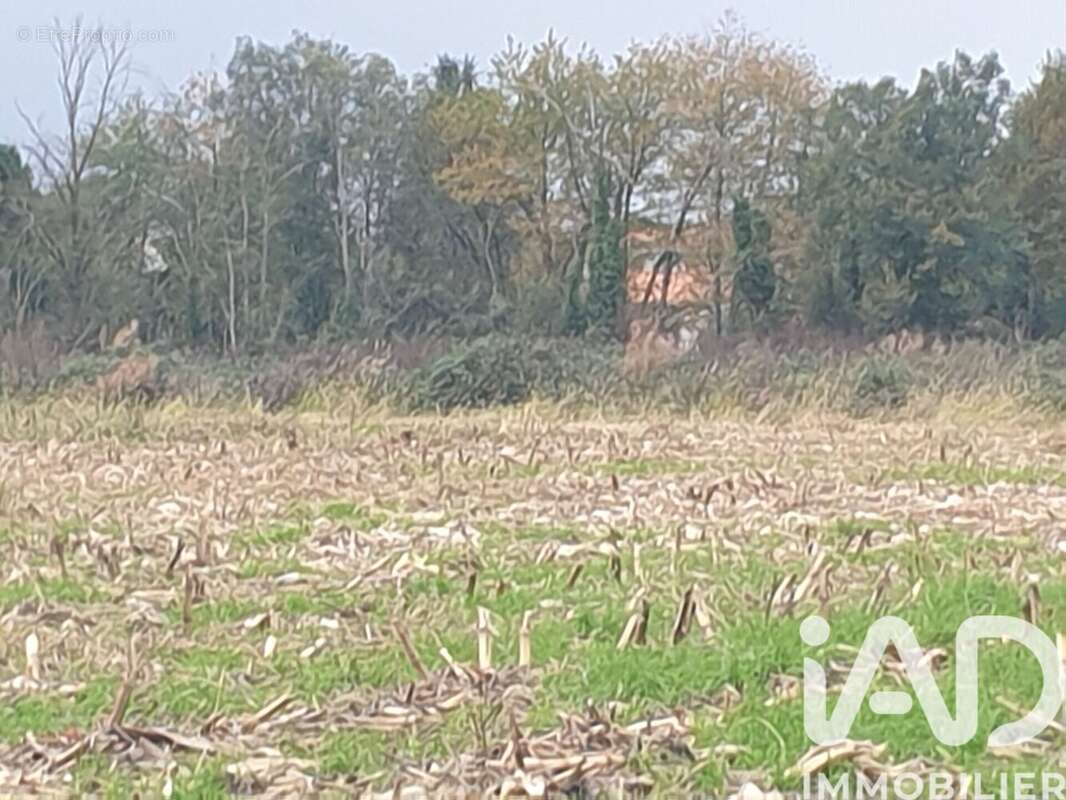 Photo 2 - Terrain à BUZET-SUR-BAISE