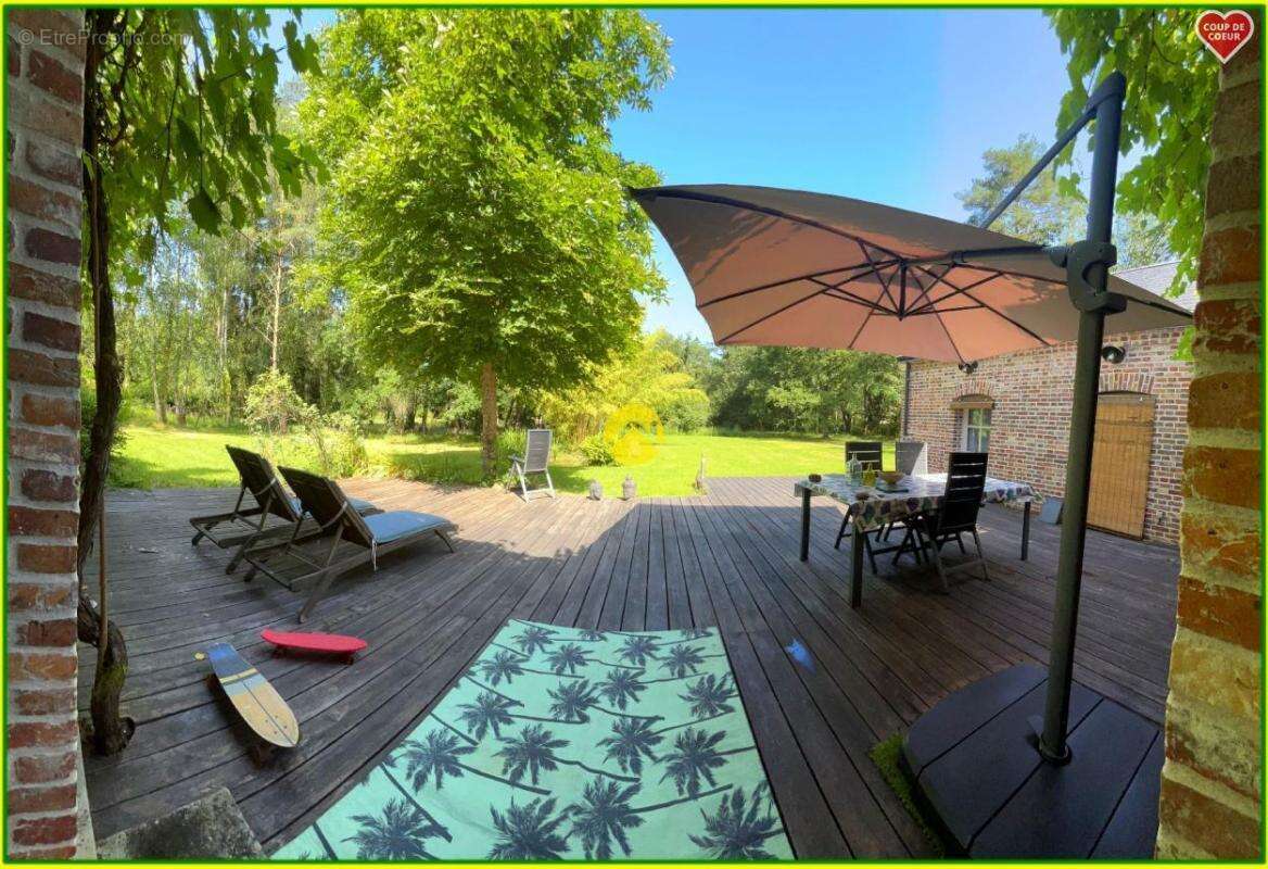 Maison Solognotte Terrain 6345m² - photo 14