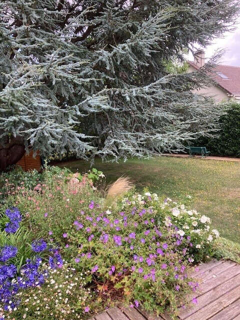 Maison à THOIRY