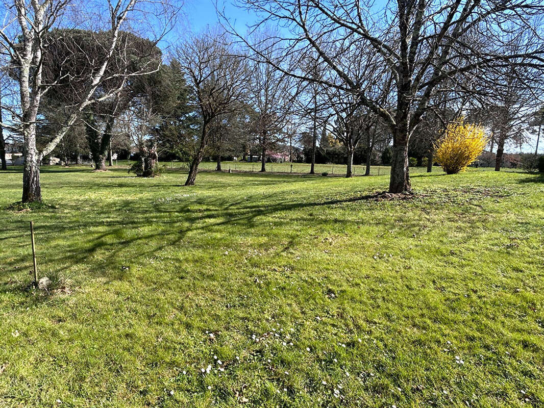 Maison à SAINTE-LIVRADE-SUR-LOT