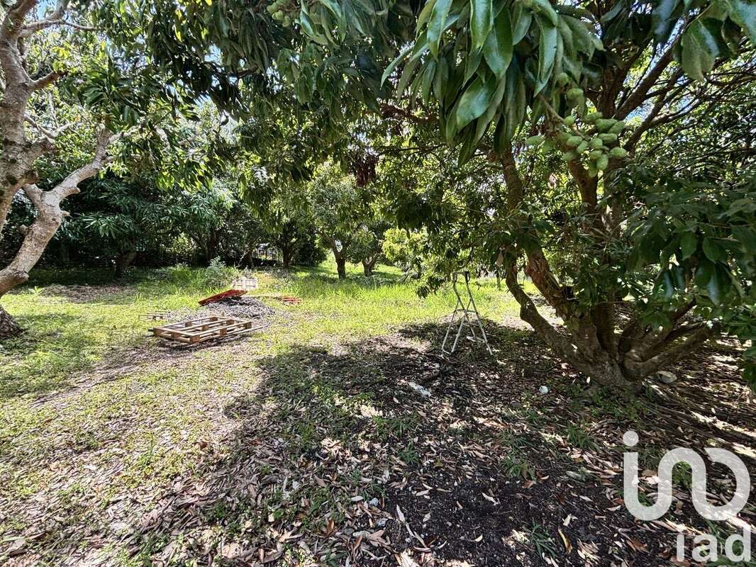 Photo 7 - Terrain à SAINT-PIERRE