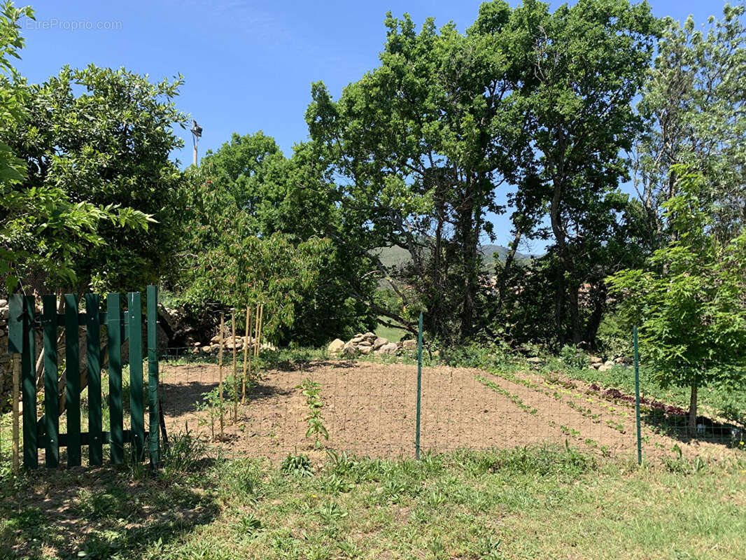 Maison à CARCASSONNE