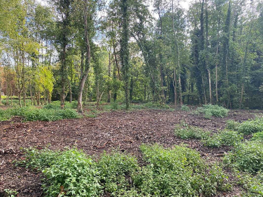 Terrain à MONTFORT-L&#039;AMAURY