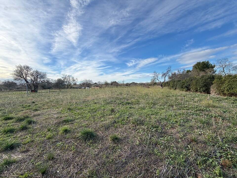 Terrain à PAULHAN