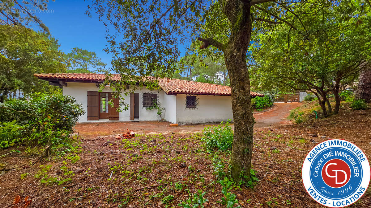 Maison à LE BOUSCAT
