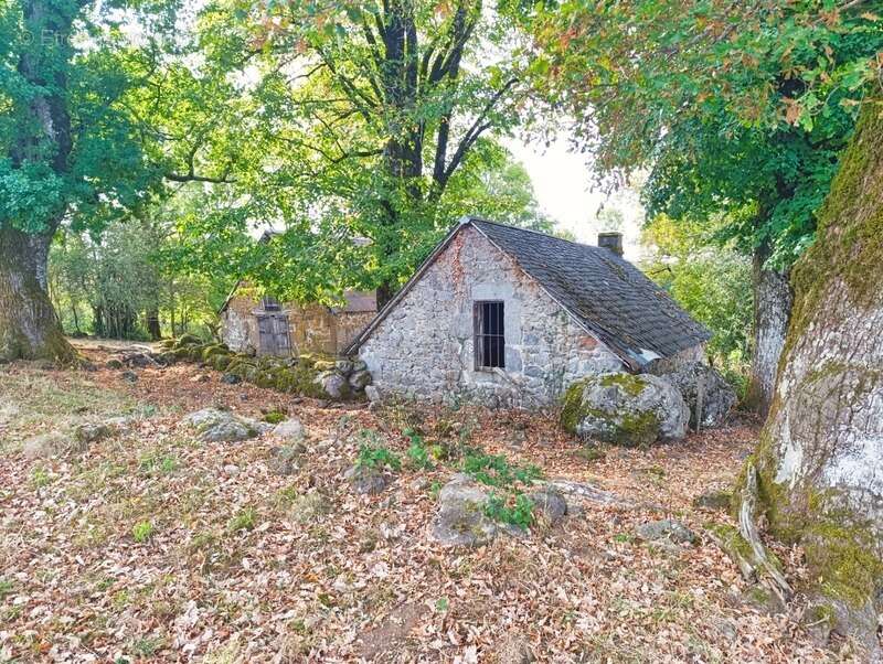 Maison à SAINT-MARTIN-VALMEROUX