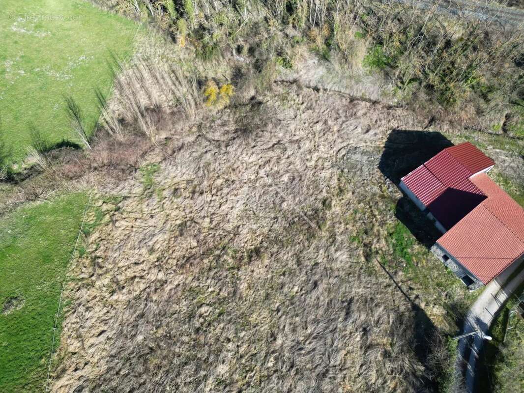 Commerce à BELLENAVES