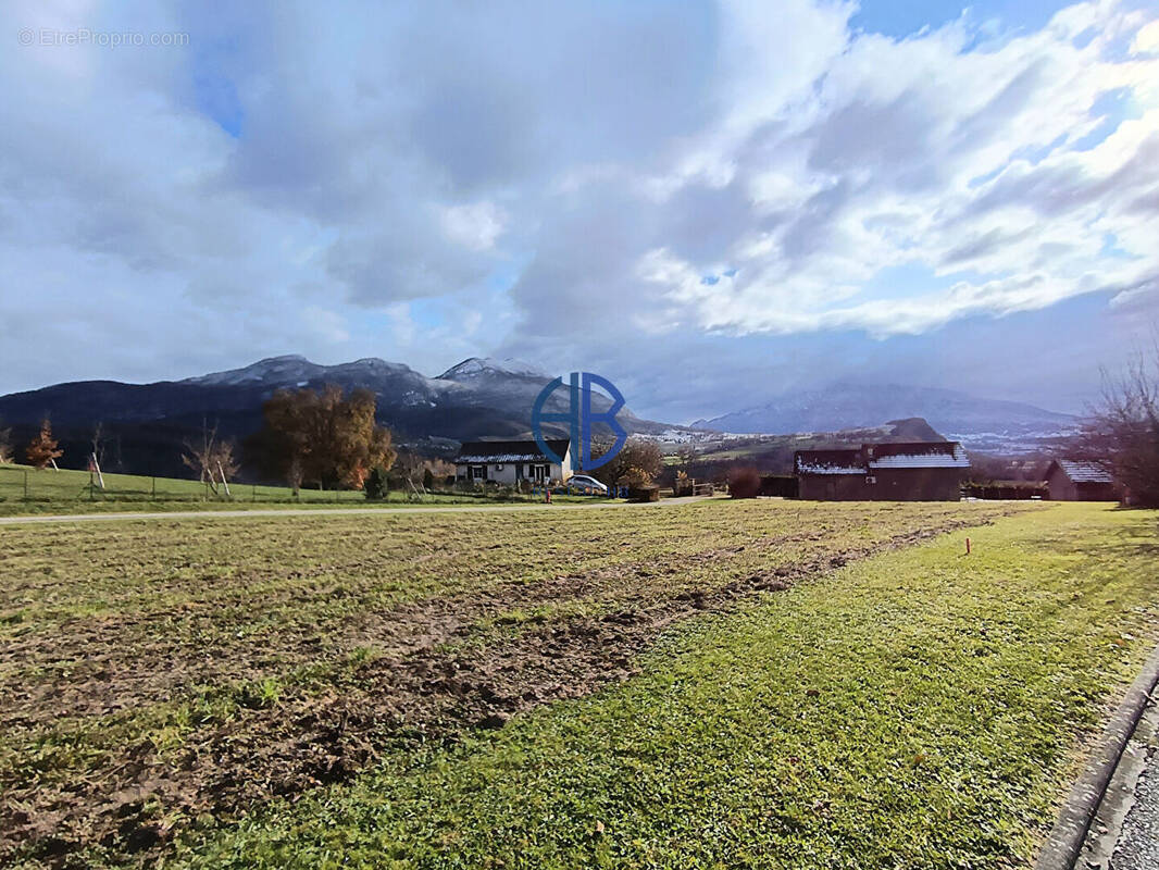 Terrain à MASSIGNIEU-DE-RIVES