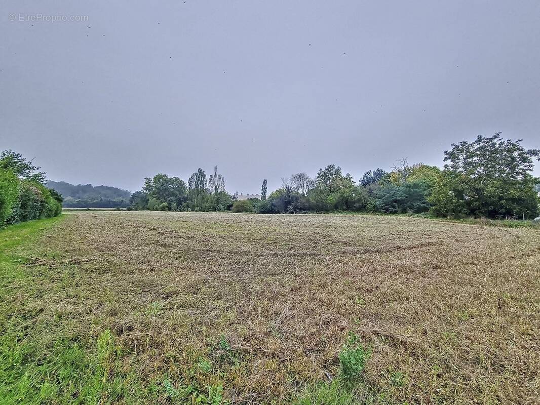 Terrain à VIEILLEVIGNE