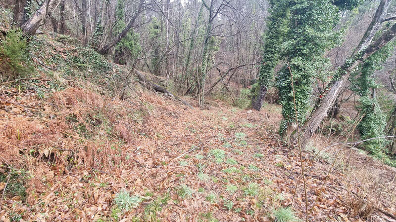 Terrain à LE COLLET-DE-DEZE