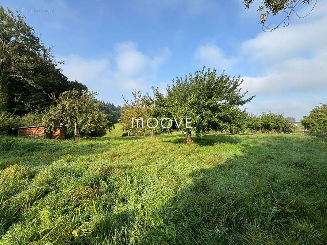 Terrain à GRUGNY