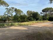 Terrain à COURNONSEC