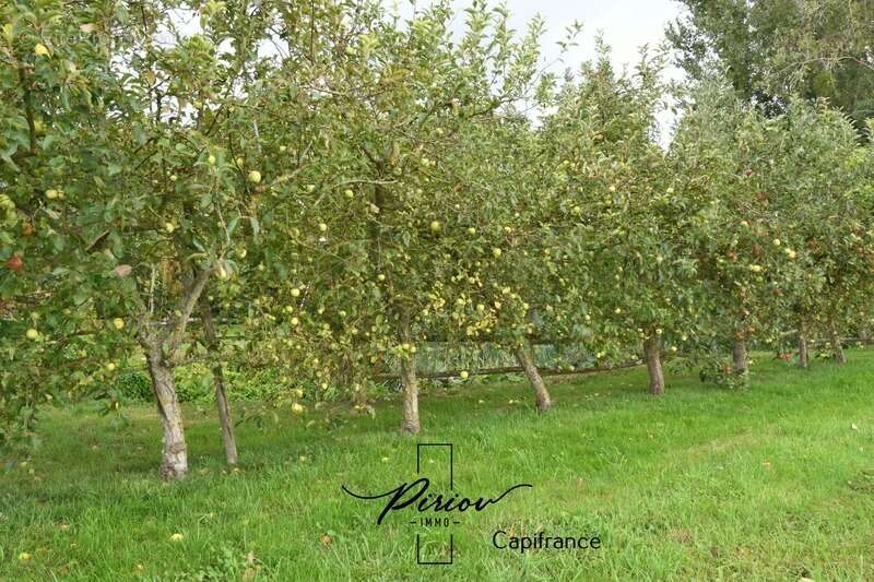 Maison à DOUE-LA-FONTAINE