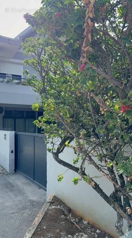 Appartement à POINTE-A-PITRE