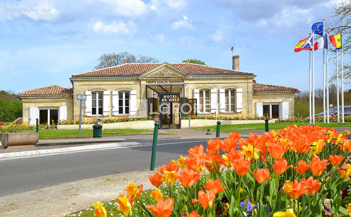 Terrain à MARTIGNAS-SUR-JALLE