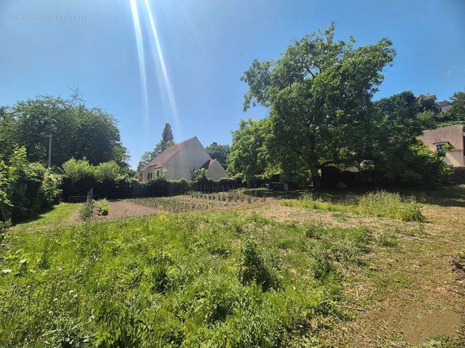 Terrain à PONTOISE