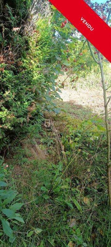 Terrain à bâtir avec caravane de 23m² viabilisé - photo 12