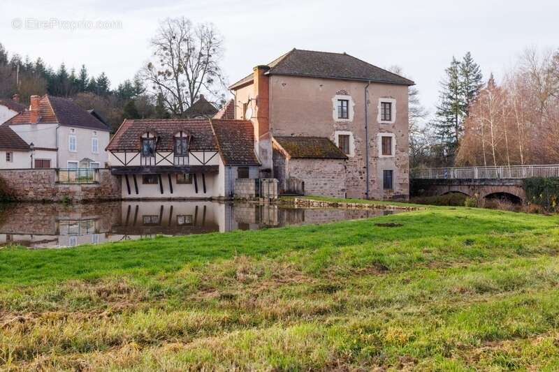 Exclusivité Propriété à vendre 10 pièces OZOLLES (71)-Ancien Moulin avec droit d'eau - photo 2