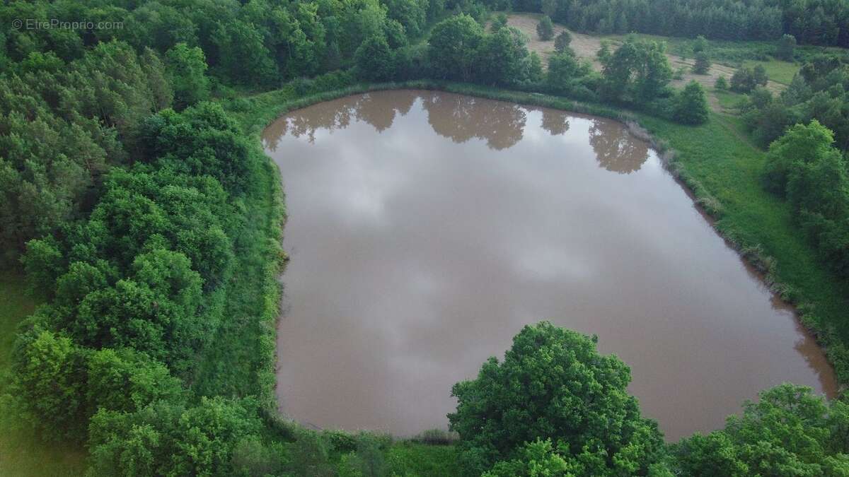 Terrain à MUR-DE-SOLOGNE