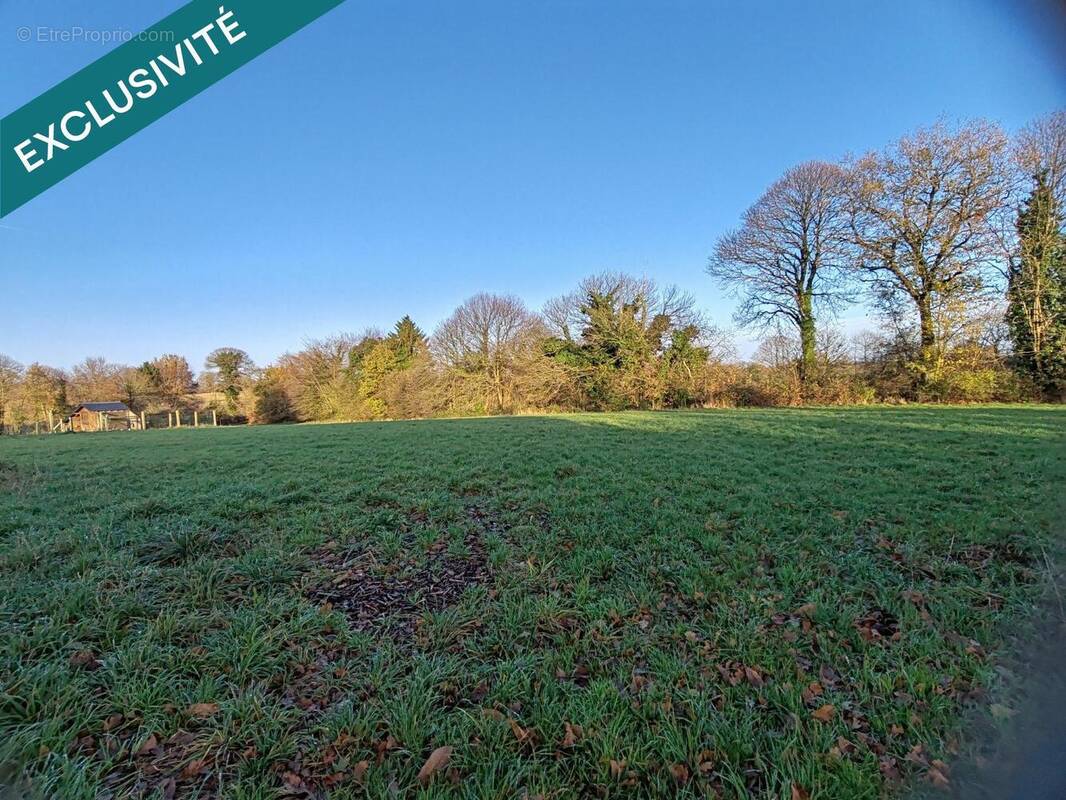 Photo 1 - Terrain à FOUGEROLLES-DU-PLESSIS