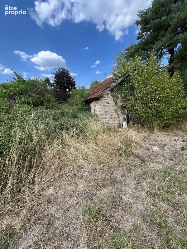 À vendre dans la Creuse : terrain de 1 171 m² avec ruine - photo 5