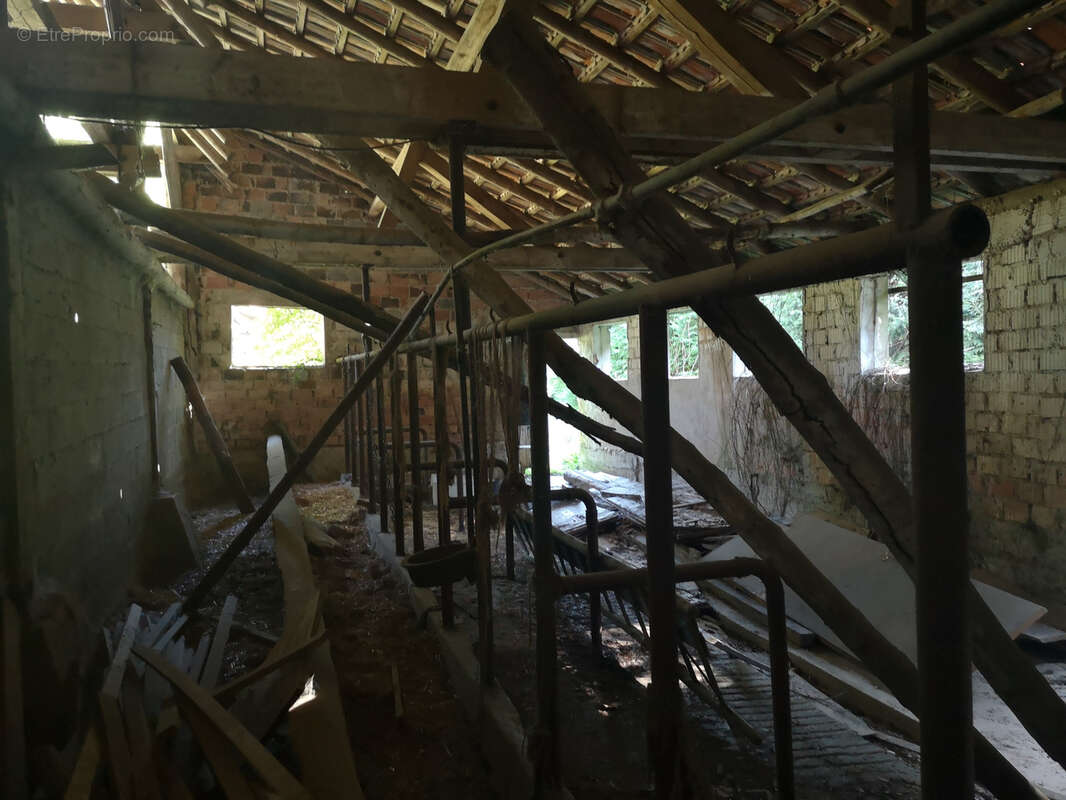 KUTZENHAUSEN   Ensemble immobilier : Maison 72 m2 + Grande Grange à réhabiliter sur 13 ares - photo 10