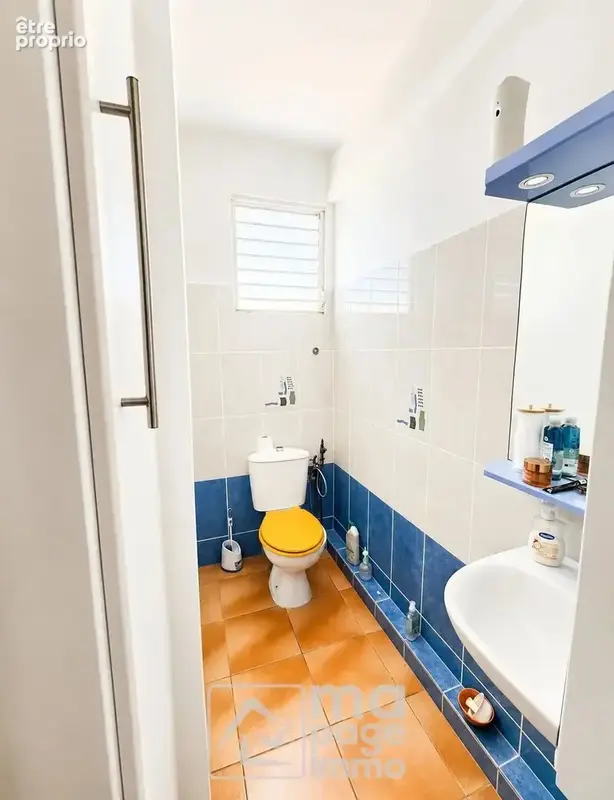Vds Maison T4 + T2, Le Vauclin - photo 9