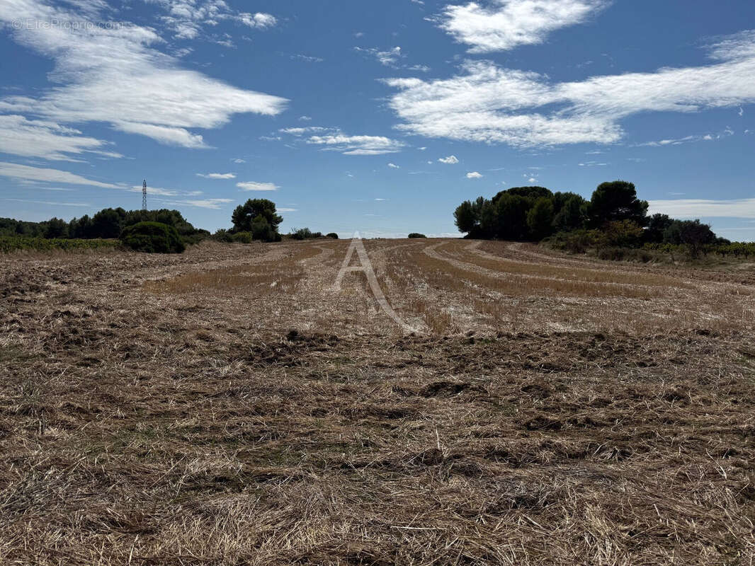Terrain à MONTAGNAC