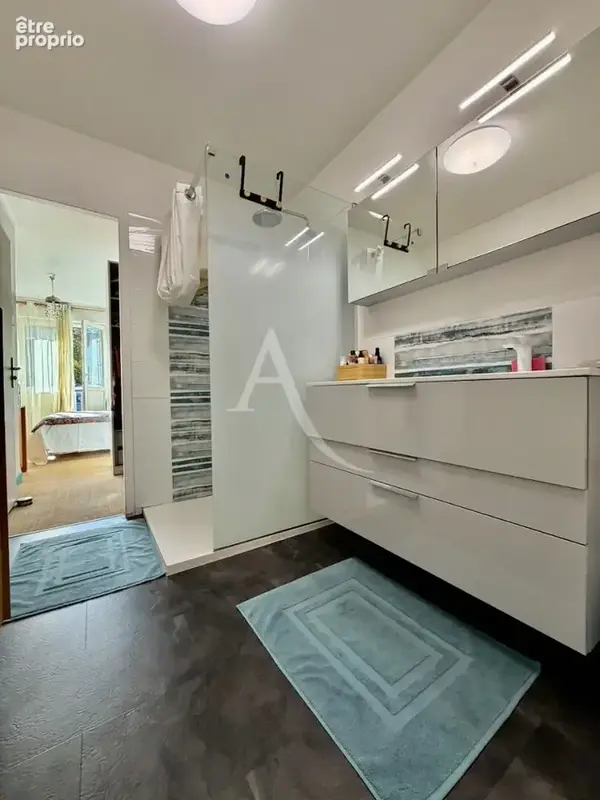 Immeuble de 1900 à Épinal : grand appartement, local et terrasses - photo 15
