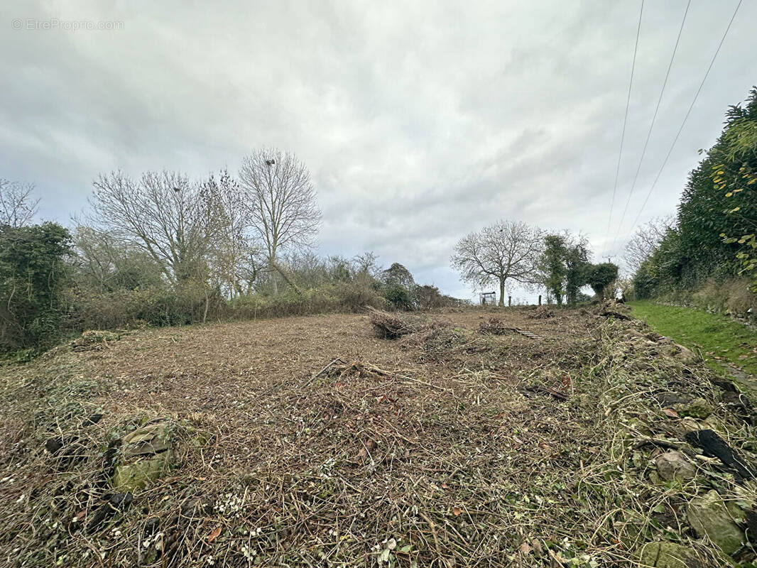 Terrain à MONNEVILLE
