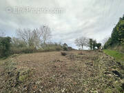 Terrain à MONNEVILLE