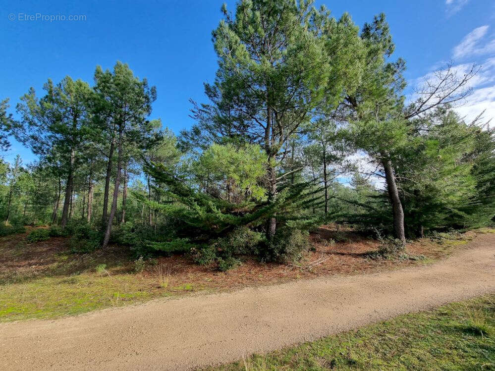 Maison à SAINT-JEAN-DE-MONTS