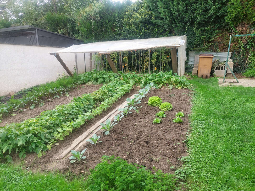 Maison à MESSIMY-SUR-SAONE