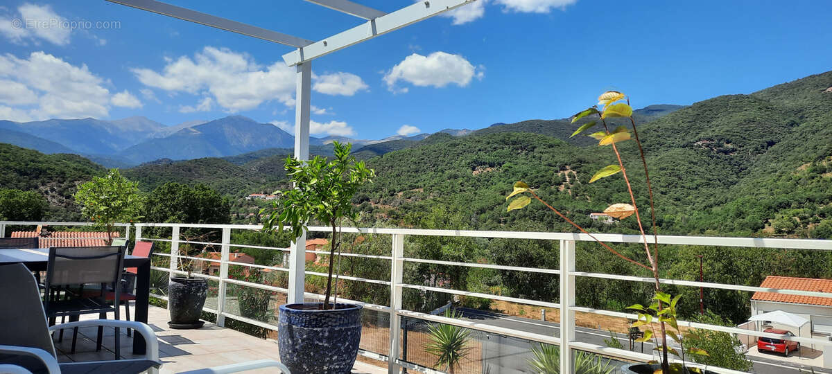 Plain-pied. re2020.terrasse.piscine. 66. vue canigou .terrasse - photo 4